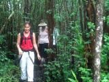 Hawaii Forest and Trail Endangered Native Habitats Adventure